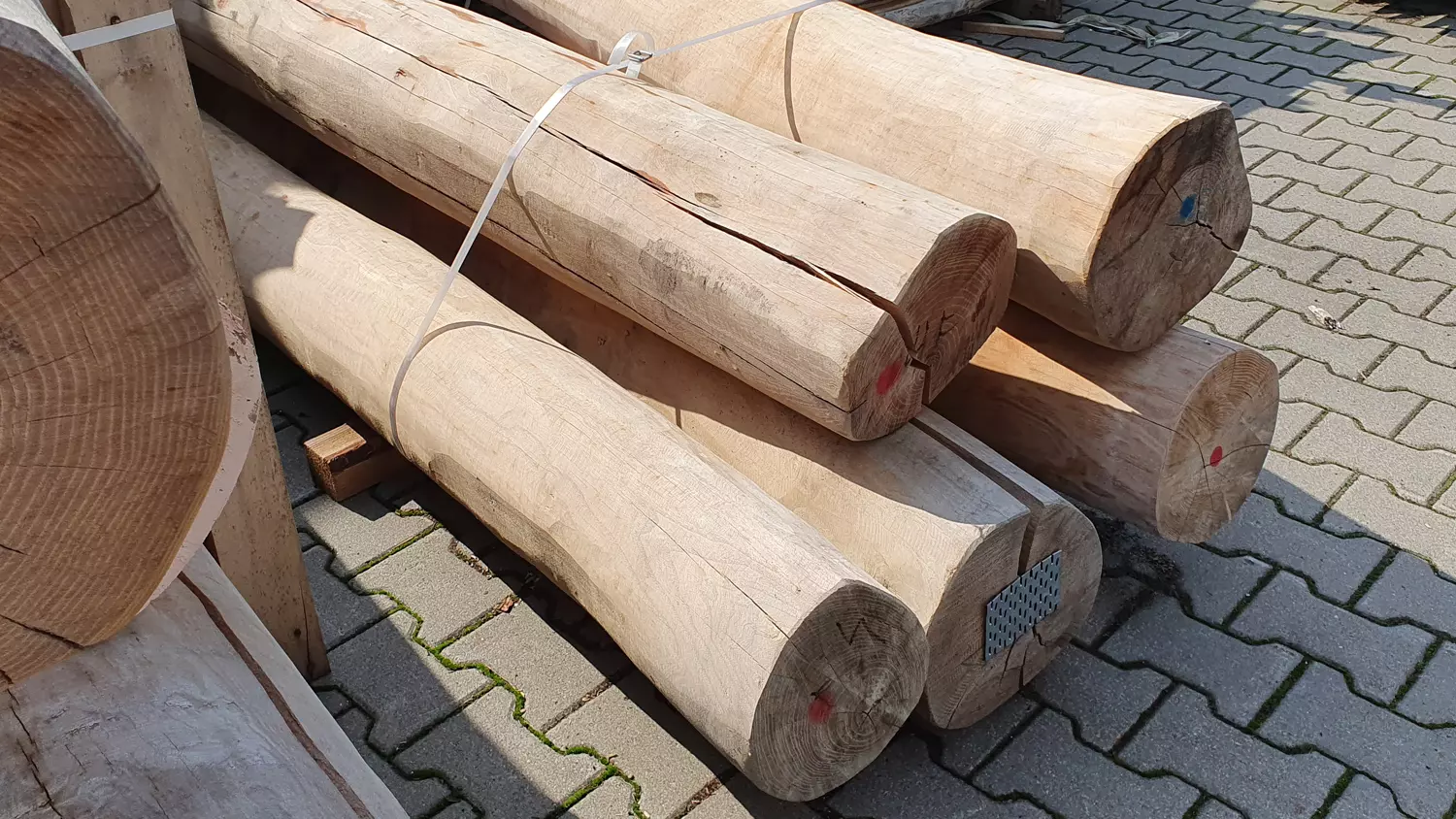 Robinie Rundholz Ø ca. 37 cm, Länge 2,00m, entsplintet, grob vorgeschliffen Robinie Rundholz Ø ca. 37 cm, Länge 2,00m, entsplintet, grob vorgeschliffen