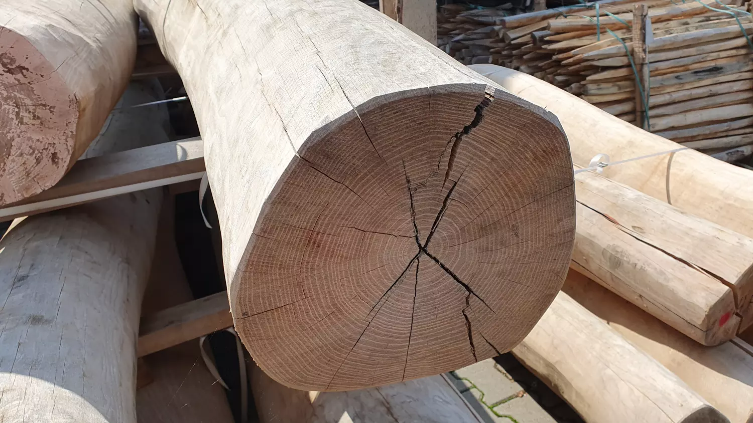 Robinie Rundholz Ø ca. 37 cm, Länge 2,00m, entsplintet, grob vorgeschliffen Robinie Rundholz Ø ca. 37 cm, Länge 2,00m, entsplintet, grob vorgeschliffen